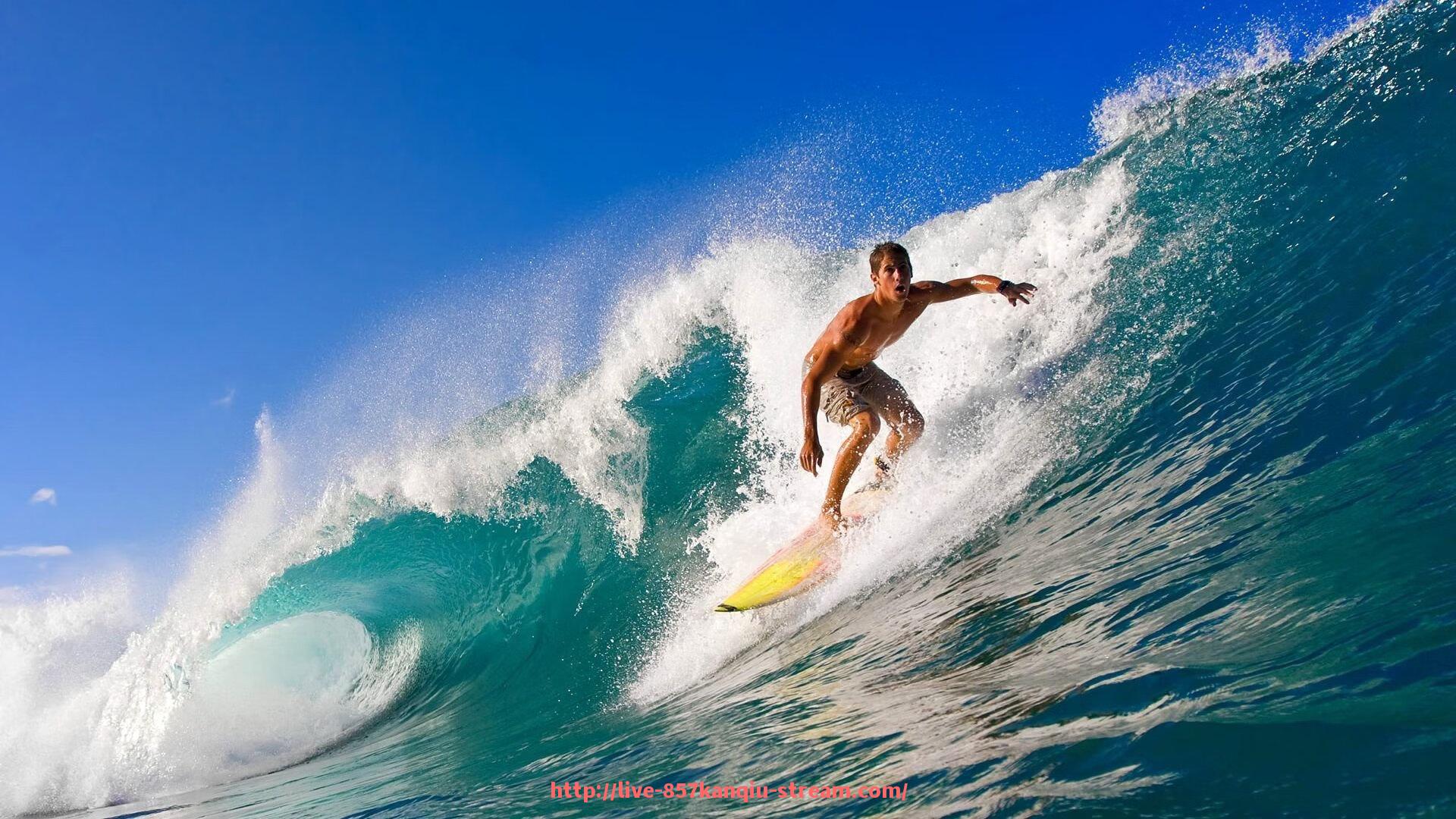 857直播看球平台-欧冠赛事的直播渠道及在线观看平台万博APP评测