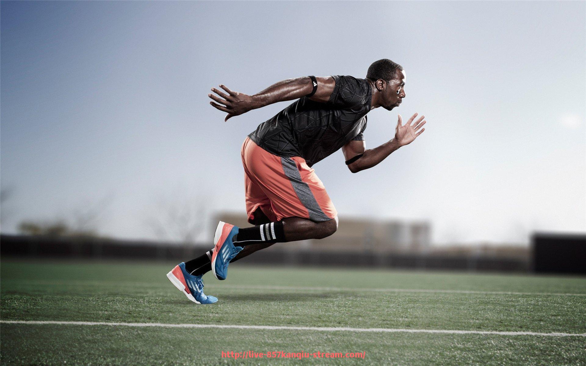 857直播看球平台-青岛健身器材店的详细介绍与使用建议