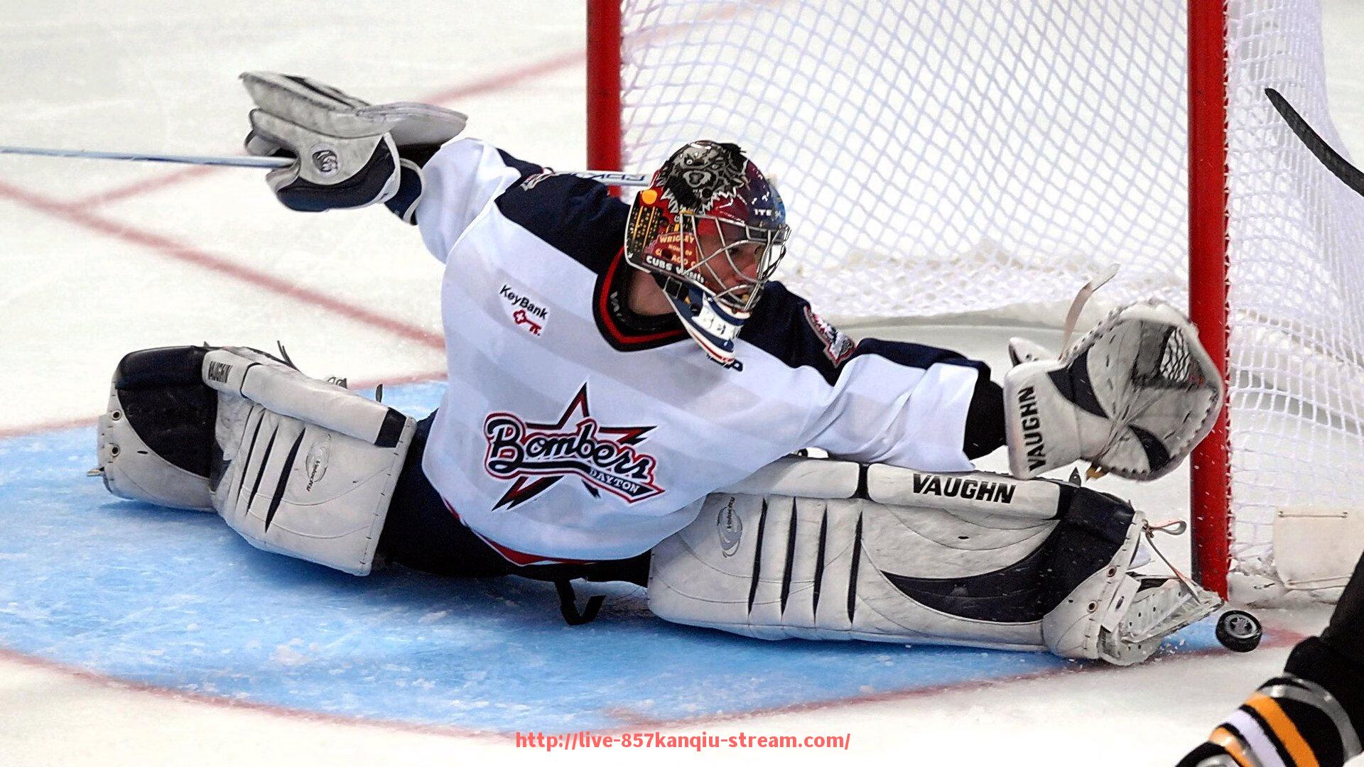 857直播看球平台-娱乐健身器材推荐:轻松有趣的健身器械选择